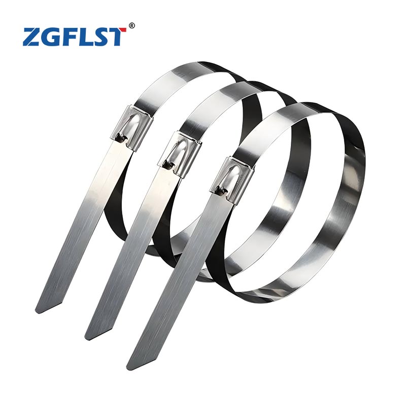 Stainless Steel Cable Ties